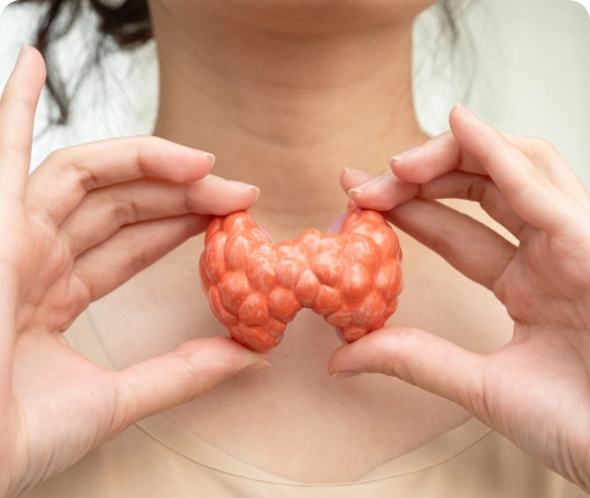 Thyroid Weight Loss